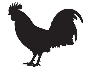 ROOSTER SILHOUETTE