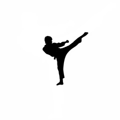 Silhouette of person practicing taekwondo on white background