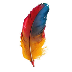 Vibrant feather graphic (1)