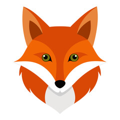Head of Fox