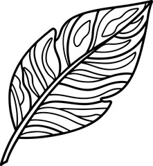 Obraz premium Tropical leaf outline with hand drawn linear details botanical minimal leaf graphic, black and white illustration