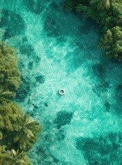 Obraz premium Turquoise river with inflatable ring. Lush trees and palms surround