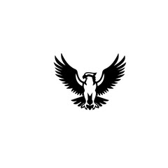 Obraz premium A black and white image of an eagle with spread wings
