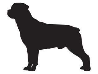 ROTTWEILER DOG SILHOUETTE