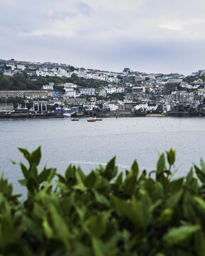 View of Polruan&acirc;&euro;&trade;s  buildings cascading towards the tranquil water, framed by verdant foliage in the foreground, creating a serene coastal ambiance, Fowey, England, United Kingdom.