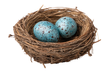 Two speckled teal eggs nestled in a rustic bird's nest (1)