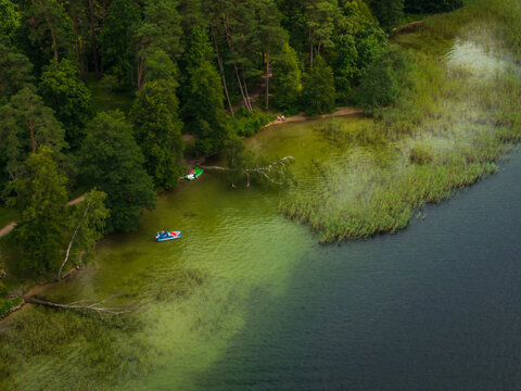 Aerial view of the tranquil lake's shallow, grassy edge meets the deeper, darker waters, embraced by a dense forest, Lake Galve, Trakai, Vilnius country, Lithuania.