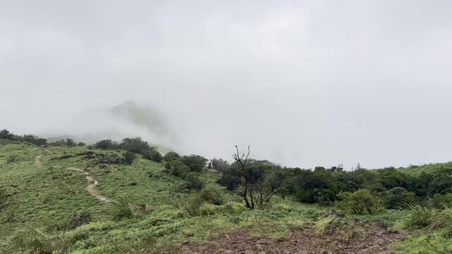 Rolling green mountains of Devarmane, Malnad, Karnataka during monsoon. Rain clouds sweep swiftly overhead, capturing the serene and dramatic beauty of the Western Ghats.