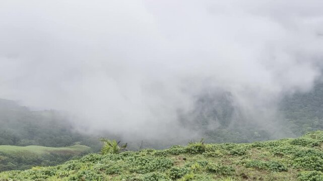 Rolling green mountains of Devarmane, Malnad, Karnataka during monsoon. Rain clouds sweep swiftly overhead, capturing the serene and dramatic beauty of the Western Ghats.