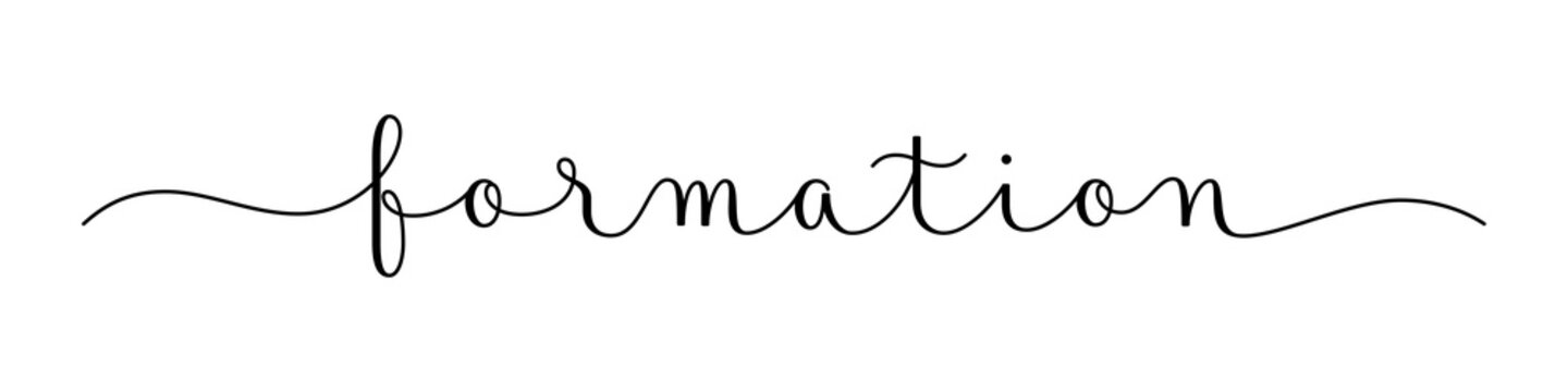 FORMATION (TRAINING in French) black brush calligraphy banner with swashes on transparent background