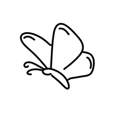 butterfly line icon
