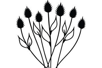 cornflower line art vector illustration
