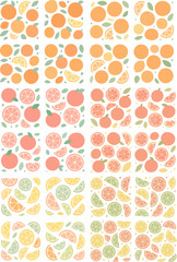 Seamless Citrus Fruit Pattern Background.