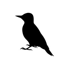 Green woodpecker silhouette vector flat illustration design.