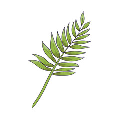 Hand-drawn branch with leaves, doodle-style green shoot, summer, spring clipart