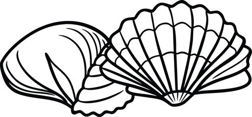 black and white seashell