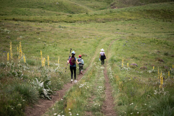 Family hiking on a trail in green meadow with wildflowers