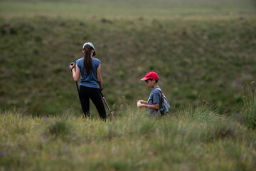 Hikers walking in green meadow using trekking poles