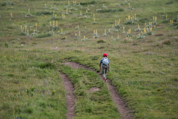 Child adventuring alone on a scenic nature trail