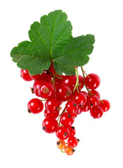 Red currant isolated on white background. Redcurrant or Ribes rubrum ripe berries with green leaves.