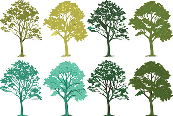 Fototapeta premium Watercolor illustrations of eight healthy deciduous trees with rounded crowns in spring colors, isolated on white background