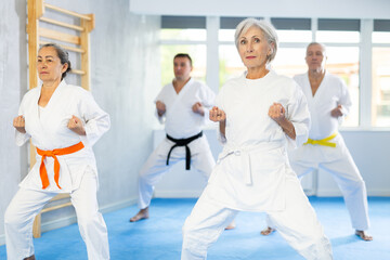 Athletes stand in row and repeat perform karate kata wrestling movements. Senior student group...