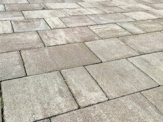 Close-up view of textured paving stones on a walkway, showcasing their uniform design and subtle...
