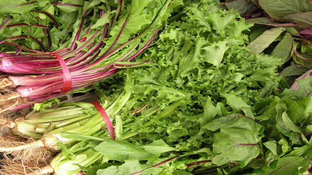  Organic Green salad leaves in Italian Street Market	