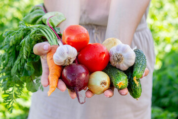Hands Holding Fresh Organic Garden Vegetables