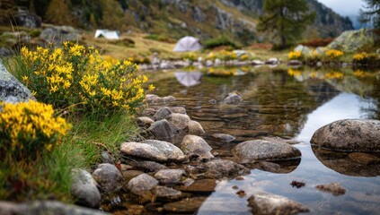 Calm alpine lake reflecting mountains, wildflowers, and a tent