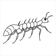 Black and White Line Drawing of a Detailed Ant Illustration