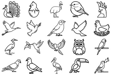 Avian Variety: A graphic array of various birds illustrations, showcasing their distinct shapes and forms in a simple yet stylish illustration, highlighting the beauty of feathered creatures.
