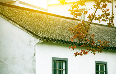 Asian people's houses