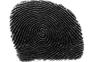 A detailed black fingerprint pattern isolated on transparent background