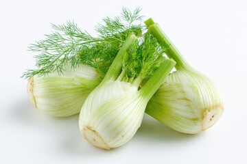 Fennel isolated on white background