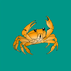 vector illustration of a crab