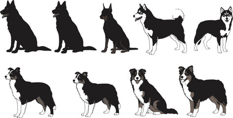 Dog Breed Vector Illustrations – German Shepherd, Husky, and Border Collie Silhouettes and Colored Graphics for Pet, Animal, and Dog Projects