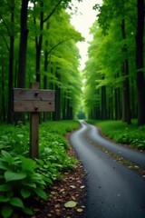 Serene woodland path with a rustic wooden signpost, inviting exploration of a verdant canopy road