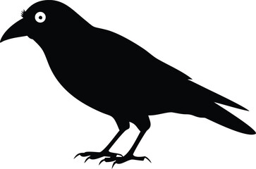 Fototapeta premium Isolated Black Crow Silhouette with White Background, Detailed Feathers, Legs, Beak, and Eye