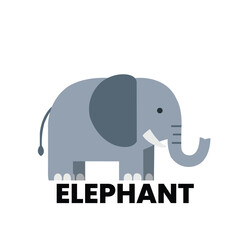 Flat illustration of a cute gray elephant with large ears and a curved trunk. Ideal for children’s content, zoo illustrations, and educational designs.