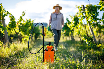 Crop sprayer in vineyard with female farm worker walking in row vines. Gardening equipment for viticulture