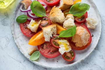 Grey plate with panzanella or italian traditional tomato and bread salad, horizontal shot, middle closeup