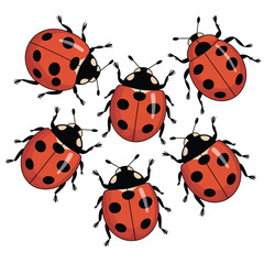 Obraz premium Five red ladybugs with black spots arranged in a cluster