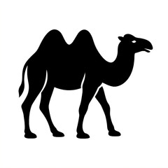 silhouette of a camel in desert illustration vector style 