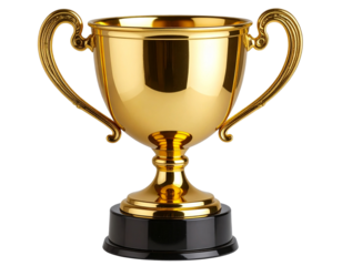  3D Rendered Trophy Icon with Metallic Finish and Shadow, Angled Perspective  (2)