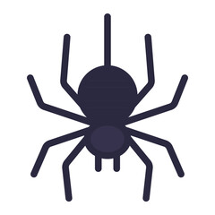 Spider outline flat