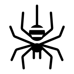 Spider solid