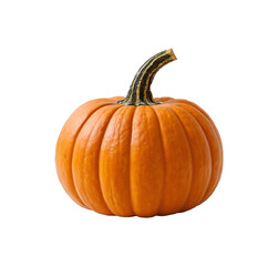 isolated orange raw pumpkin