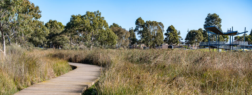 Elevated boardwalk winding through native grasses and wetland vegetation at Boardwalk Boulevard Wetlands in Point Cook, Melbourne, Australia. A suburban nature reserve with scenic walking path. - Powered by Adobe