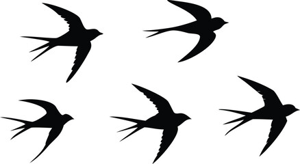Fototapeta premium Silhouette of Five Swallow Birds Flying in Different Directions, Isolated on a White Background